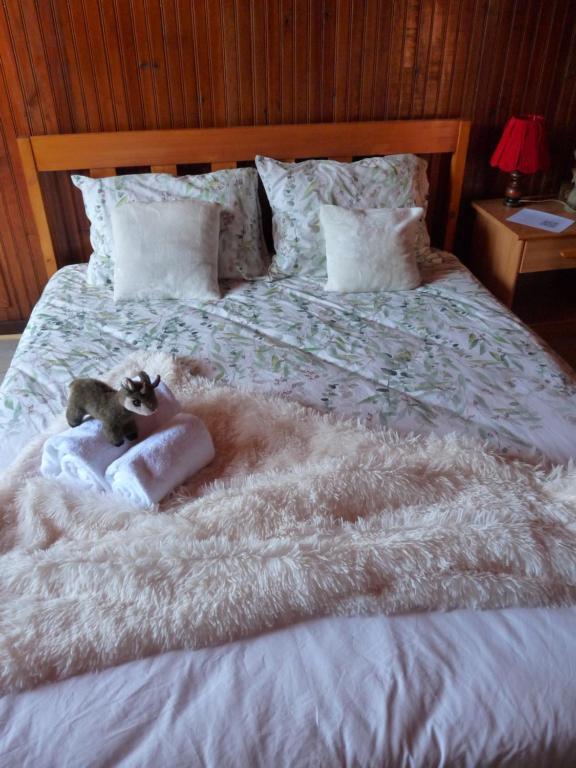 L'ânon d'Andon - Standard Double Room