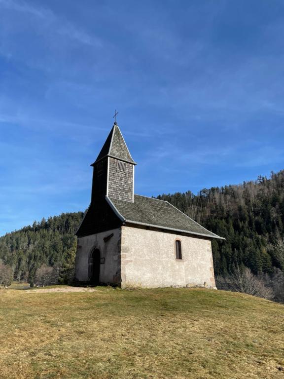 Příroda nedaleko apartmánu
