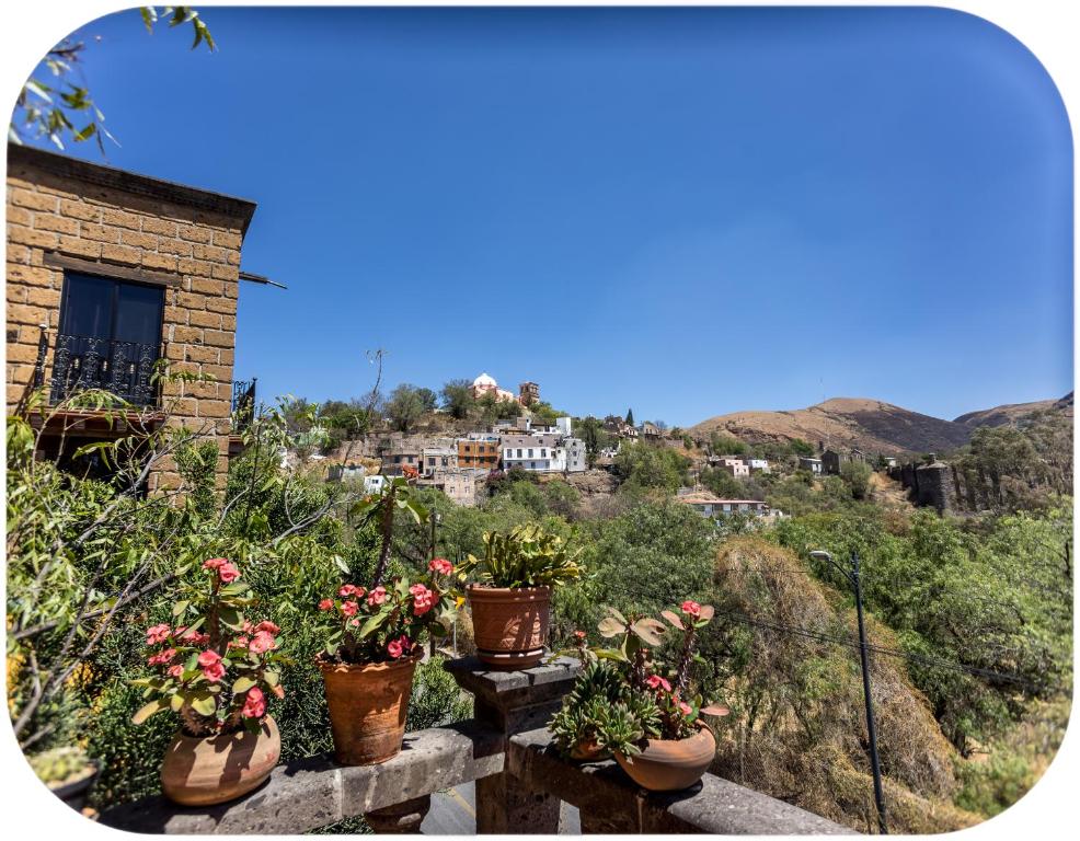 een groep potplanten op een balkon met een heuvel bij Depa Mellado - Zona turística Guanajuato in Guanajuato