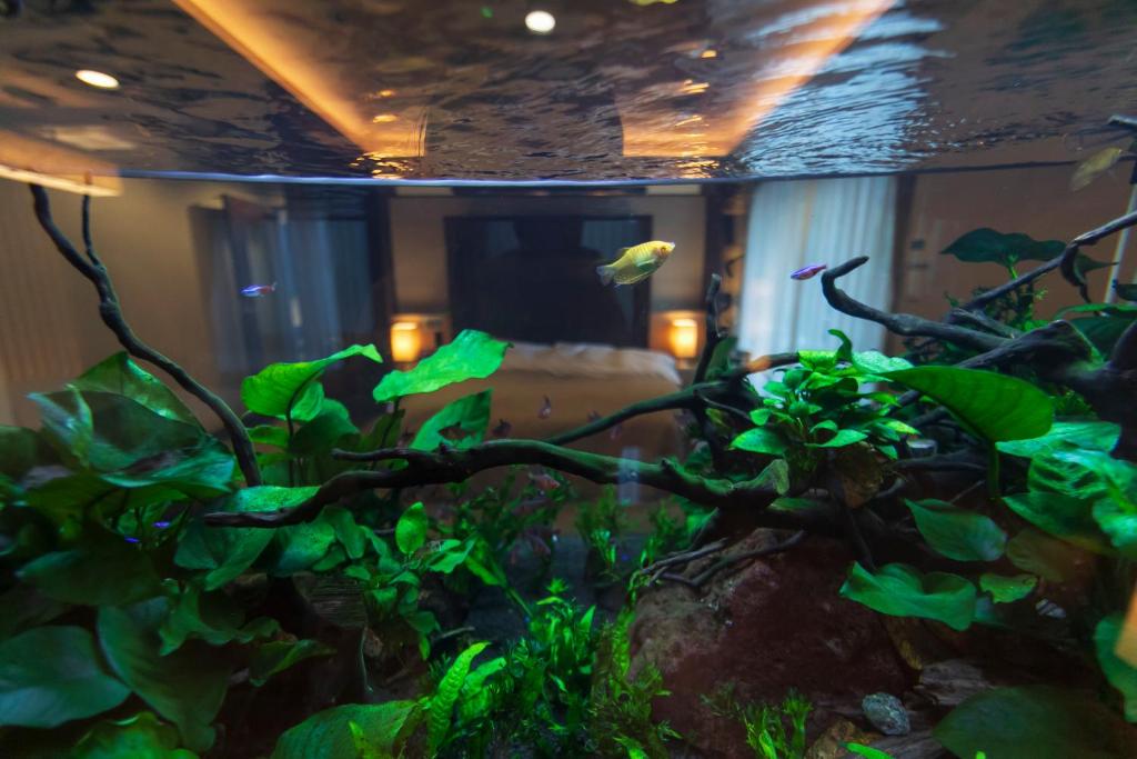Zahrada ubytování Hotel Gendairakuen Isehara