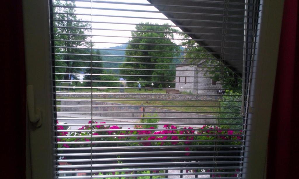 Private accommodation Lidija Rakočević - 7