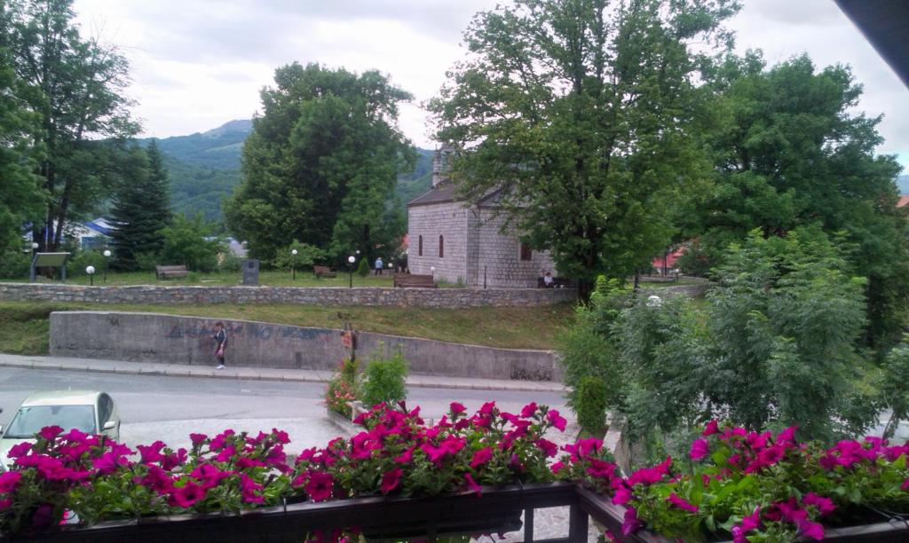 Private accommodation Lidija Rakočević - 8