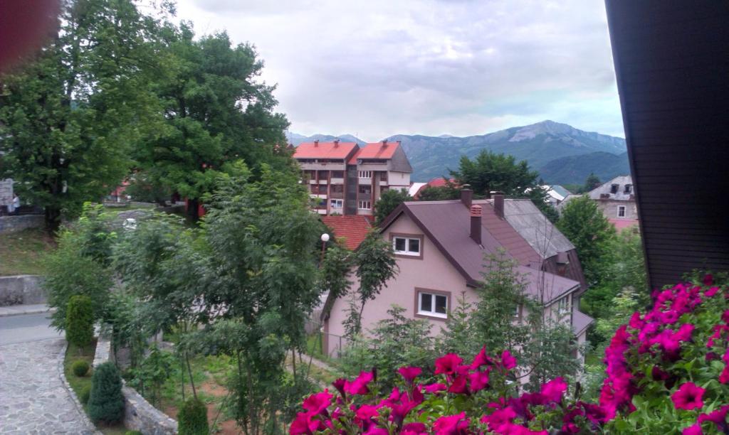 Private accommodation Lidija Rakočević - 9