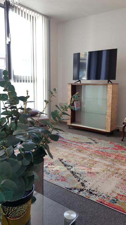 a living room with a tv and a plant at Modern city centre 1 bed apartment with gym access & free parking by Lets Relocations in Birmingham