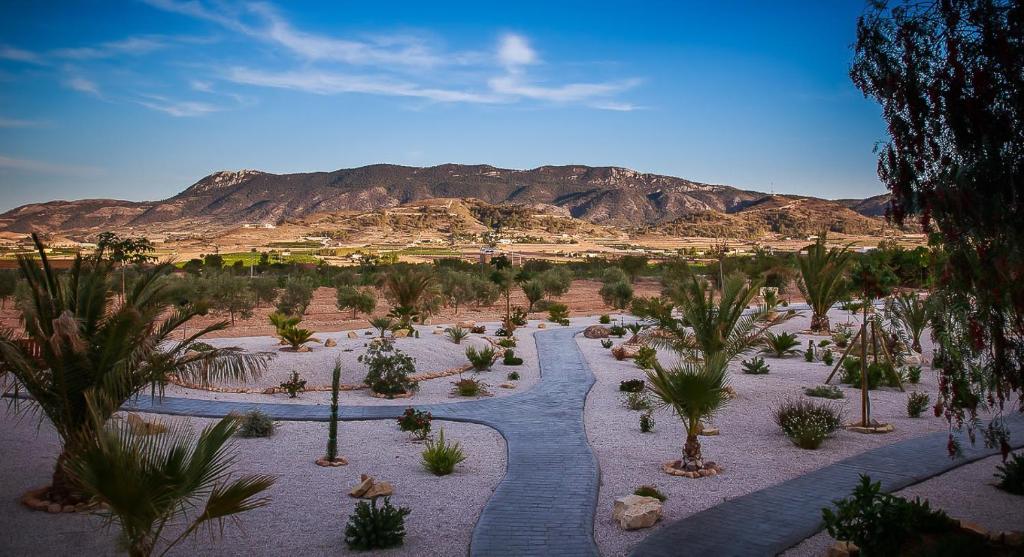 a desert with palm trees and mountains in the background at Finca Vista Valle in Hondón de las Nieves