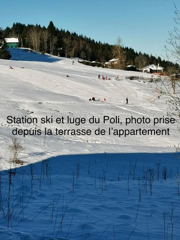 APPT 3* LE HAUT DES LACS v zimě