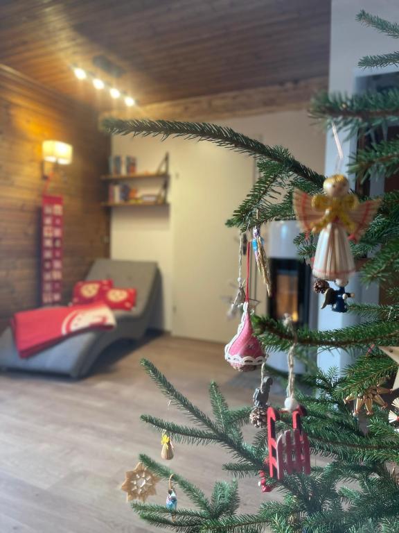 Posezení v ubytování Almhaus-Klippitz