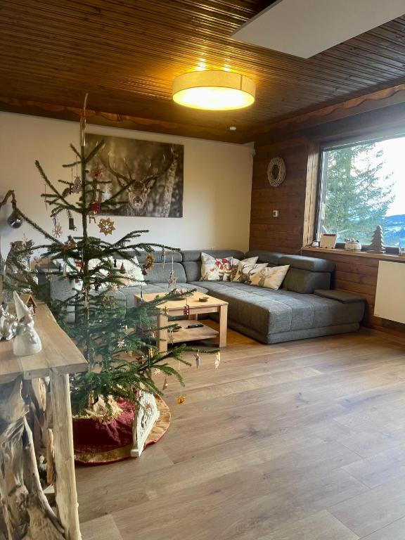 Posezení v ubytování Almhaus-Klippitz