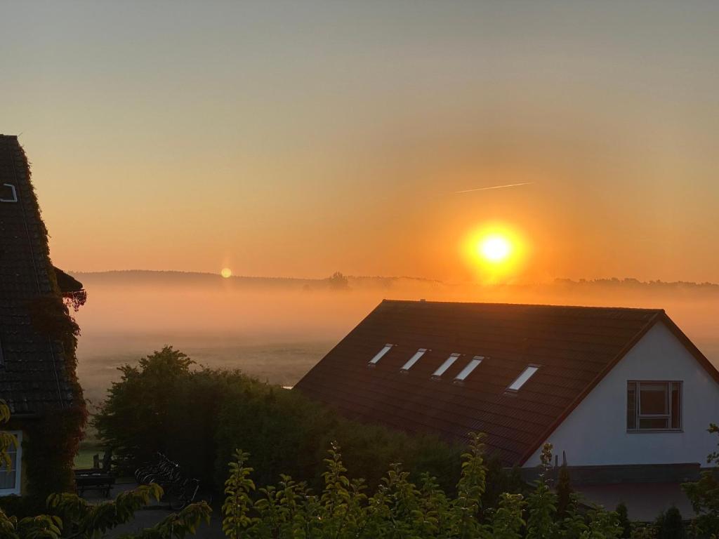 Hotel am Müritz-Nationalpark - 10