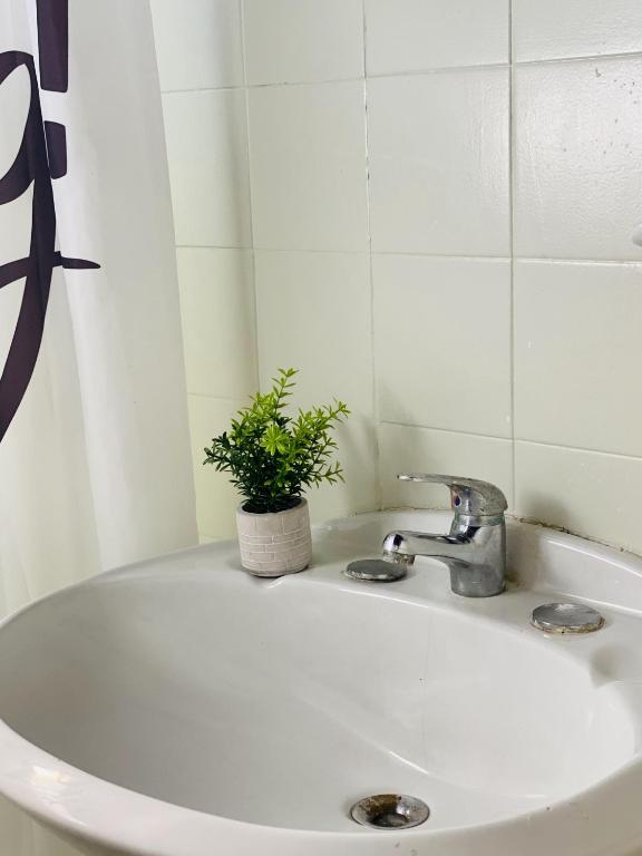 PASTORA Suites & Hostel - Punta del este - Zweibettzimmer Mit Eigenem Bad