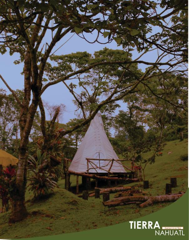Příroda nedaleko luxury tent