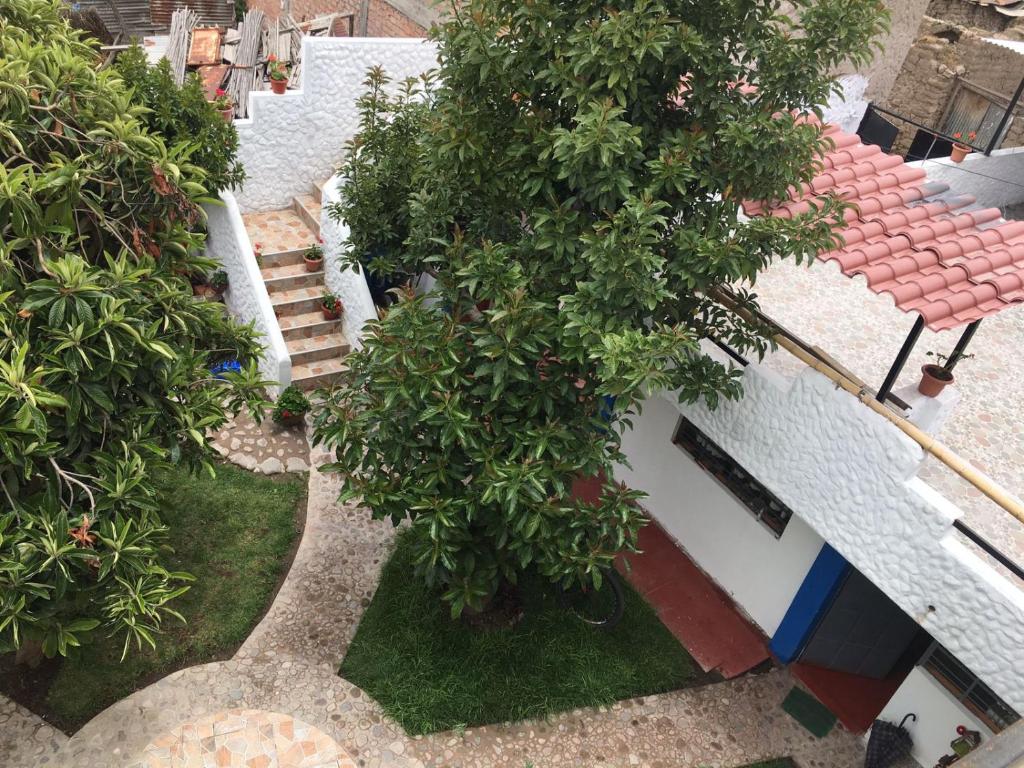 Zahrada ubytování Las Palmeras Eco Hostel