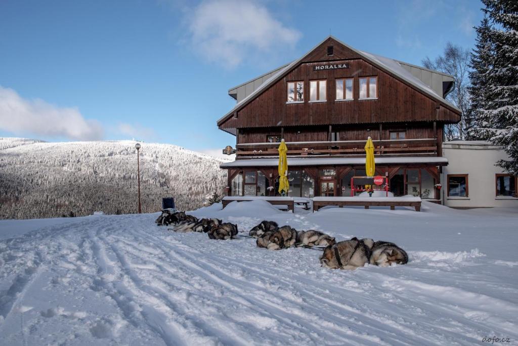 Pension Horalka during the winter