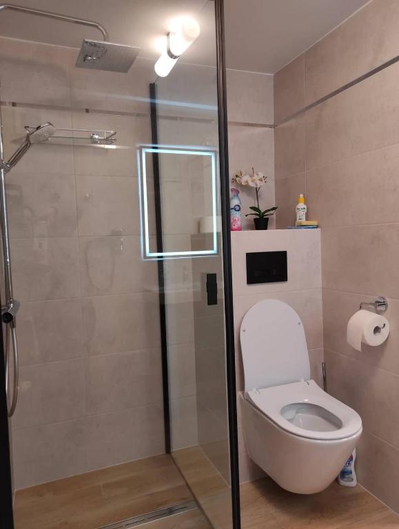 Kúpeľňa v ubytovaní Arnika Wynajem Pokoi