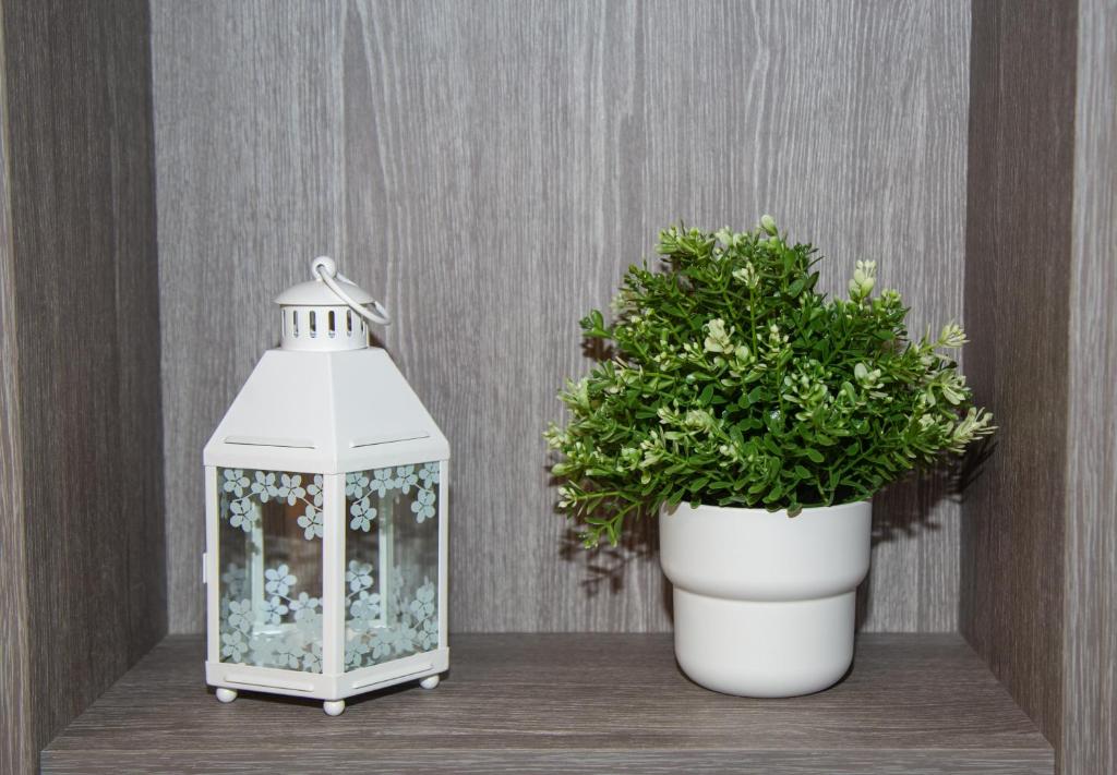 Hotel Lux Melide - 15