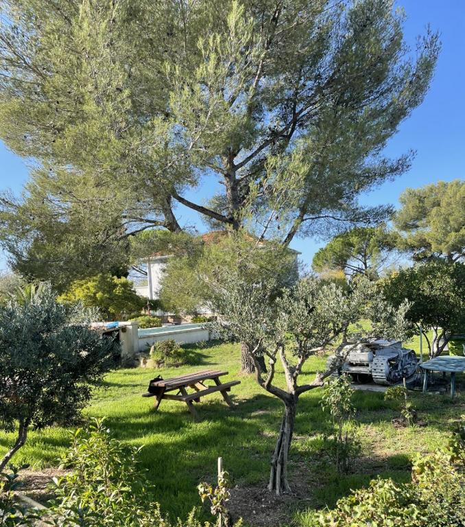 Maison neuve + piscine dans parc arboré proche mer