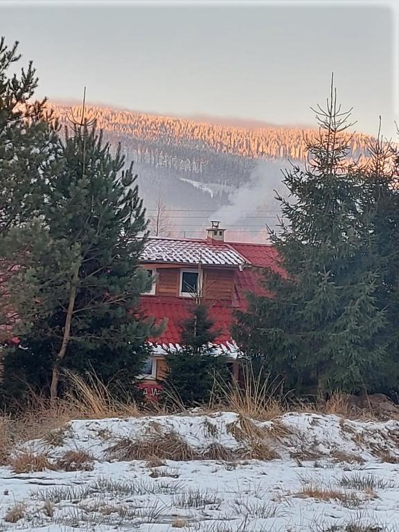 a red house with trees and snow on the ground at Apartament Ruska Bania Na Pograniczu in Lasowka