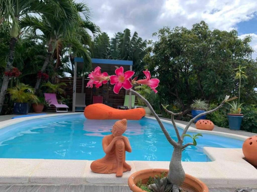 a couple sitting next to a flower next to a swimming pool at La villa ô plaisir in Deshaies