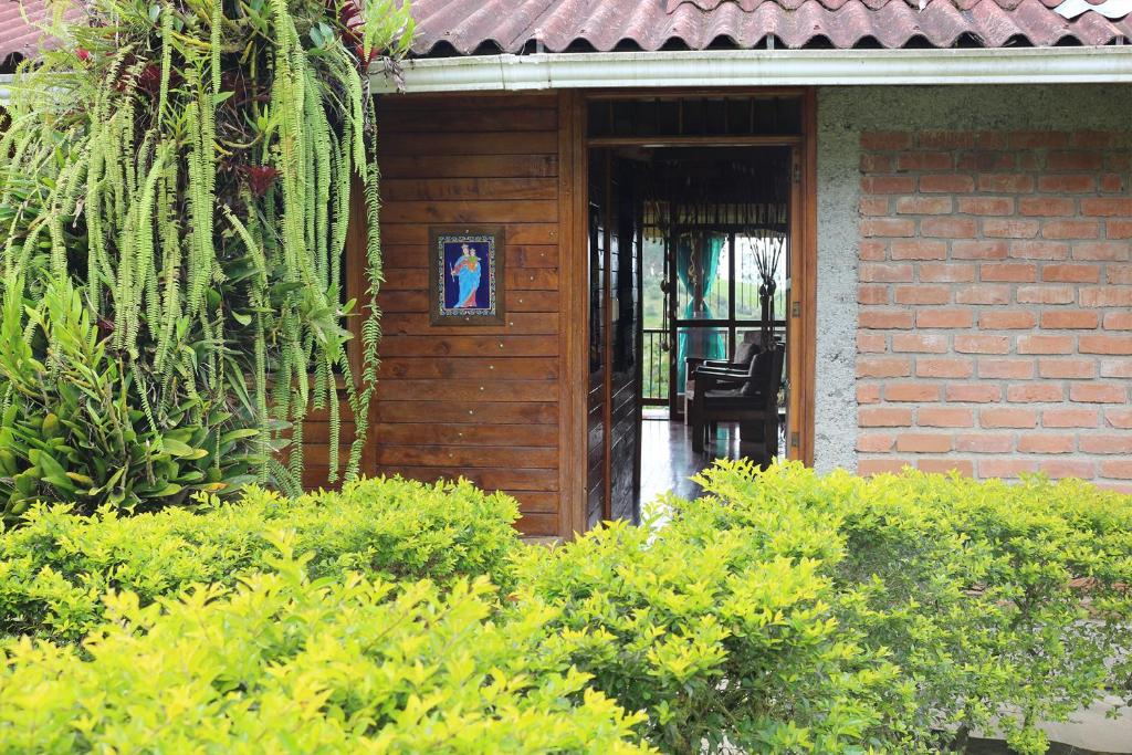 Zahrada ubytování Finca Chalet La Tawa