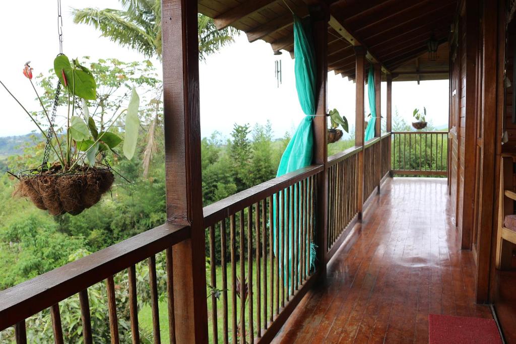 Balkón nebo terasa v ubytování Finca Chalet La Tawa