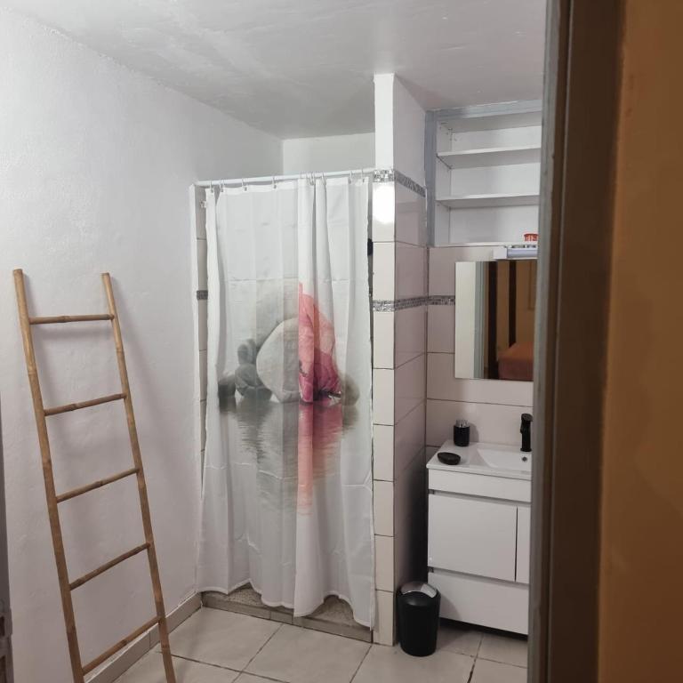 Koupelna v ubytování CHEZ COCO appartement BALISIER