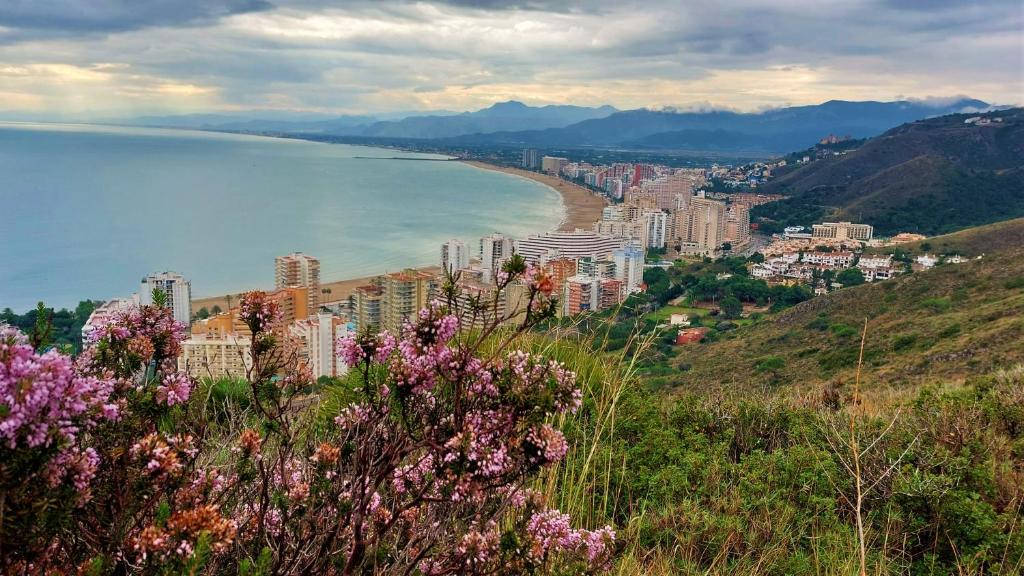 Fotografie z fotogalerie ubytování Lavanda v destinaci Cullera