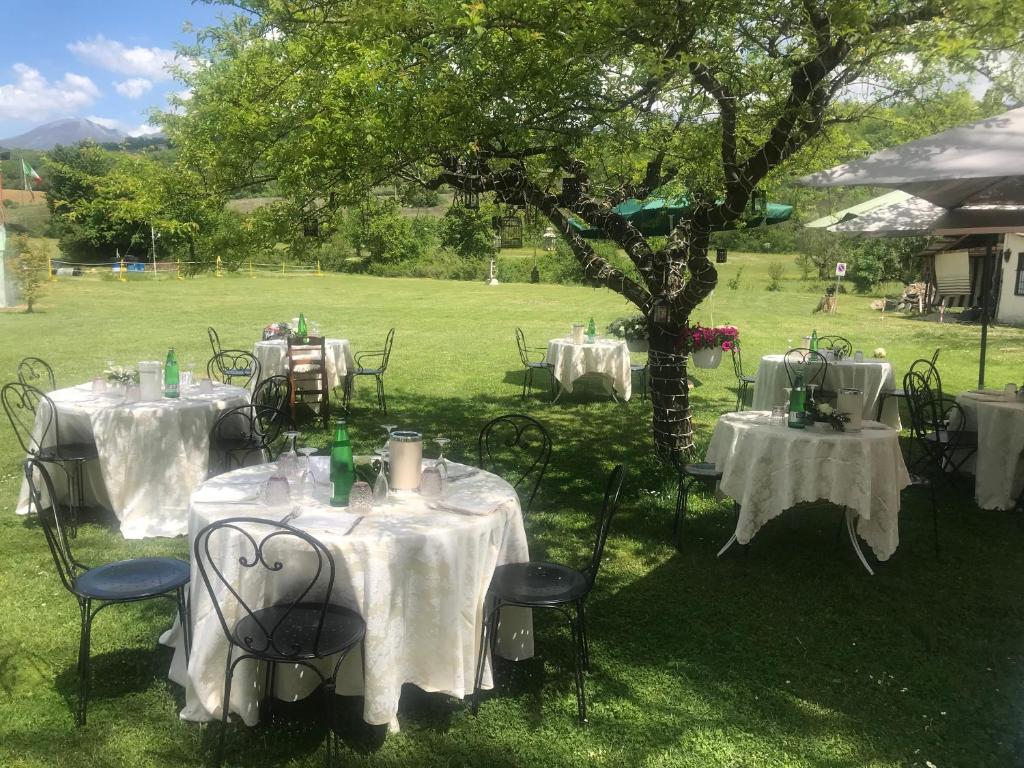 Stella Polare B&B
