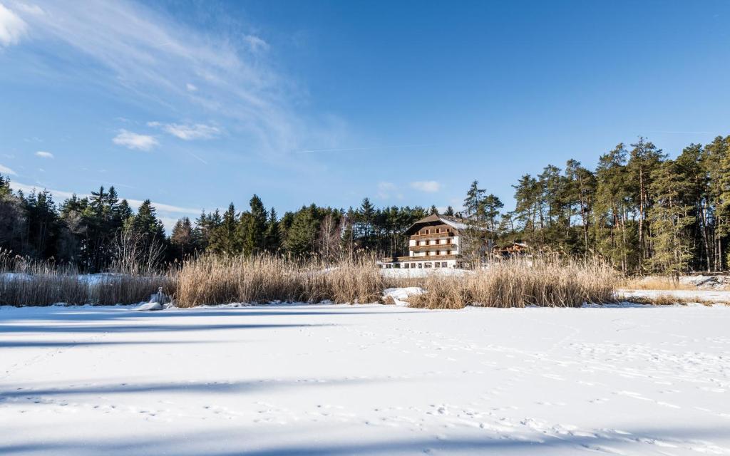 フィエー・アッロ・シーリアルにあるHotel Waldseeの雪田