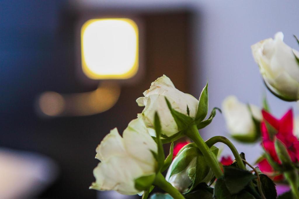 Hotel De Looier - Resim 15