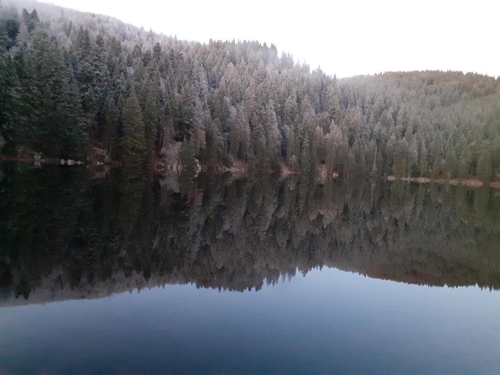 MUNSTER camping de la FECHT – photo 38