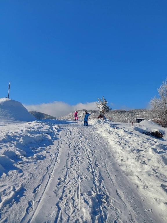 Vikendica RANKOVIĆI v zimě