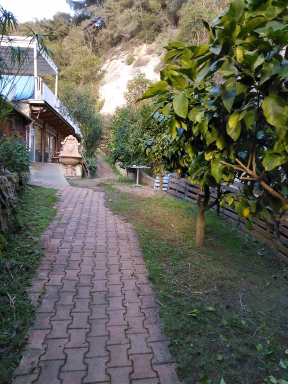 einen Backsteinweg neben einem Haus und einem Baum in der Unterkunft OASIS in Menton