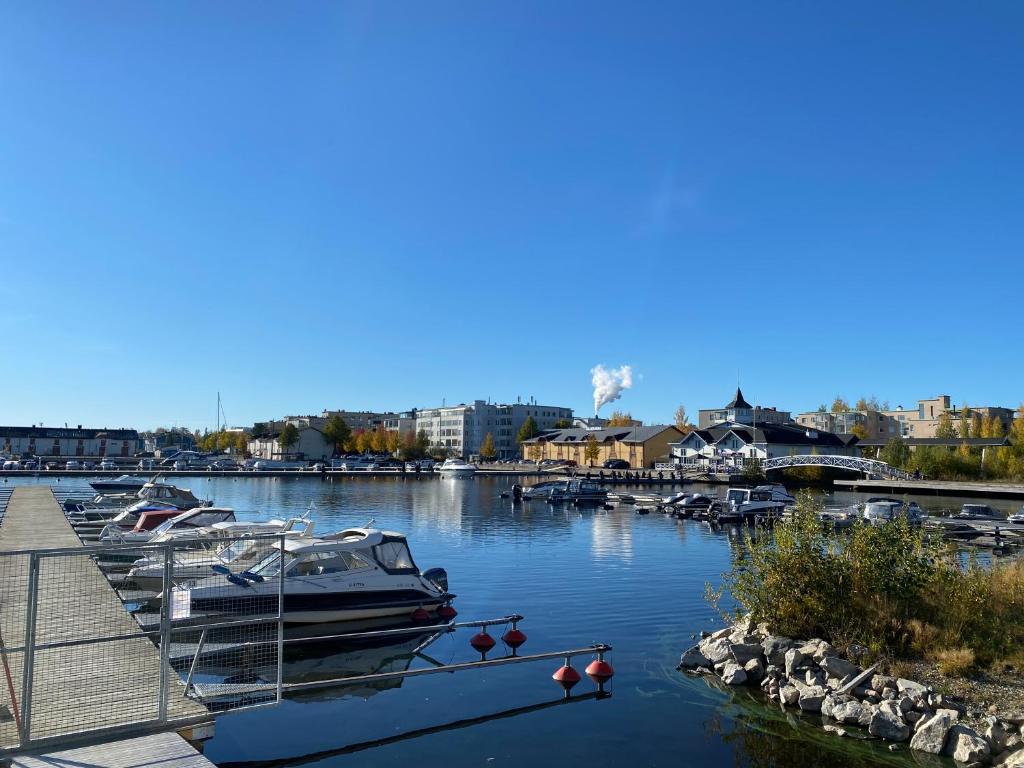 un groupe de bateaux amarrés dans un port de plaisance dans l'établissement New Apartment next to Kuopio Harbour with Sauna, à Kuopio