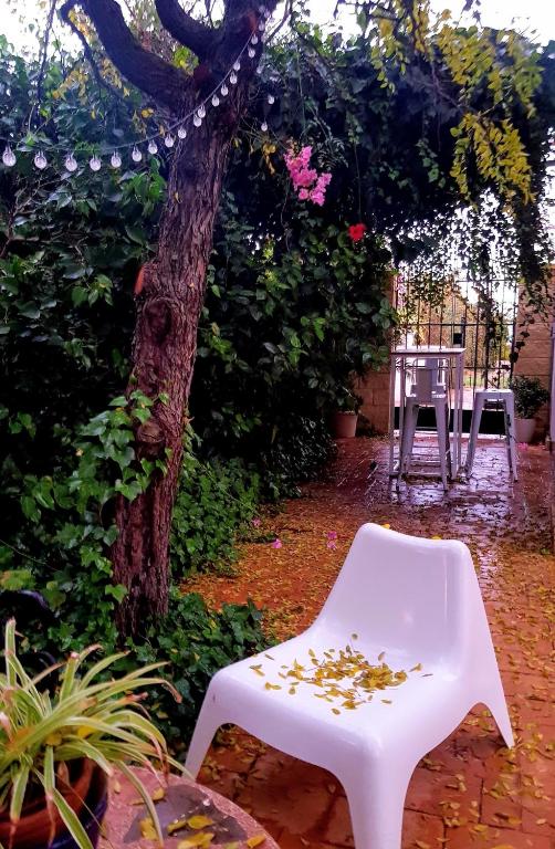 A garden outside Villa Mirador del Sol, 45min playas de Doñana, 35min de Sevilla