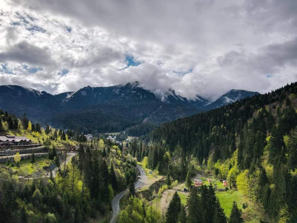 a view of a valley with trees and mountains at Camping Ursulet Durau in Ceahlău