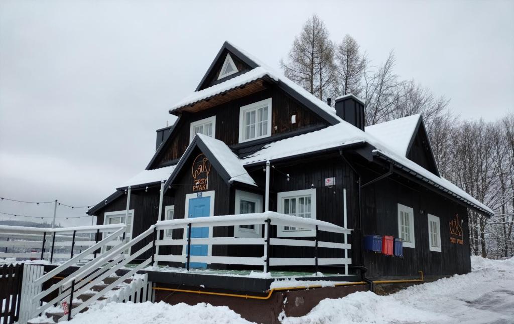 une maison noire avec de la neige sur le toit dans l'établissement Apartamenty TRZY PTAKI, à Wisła