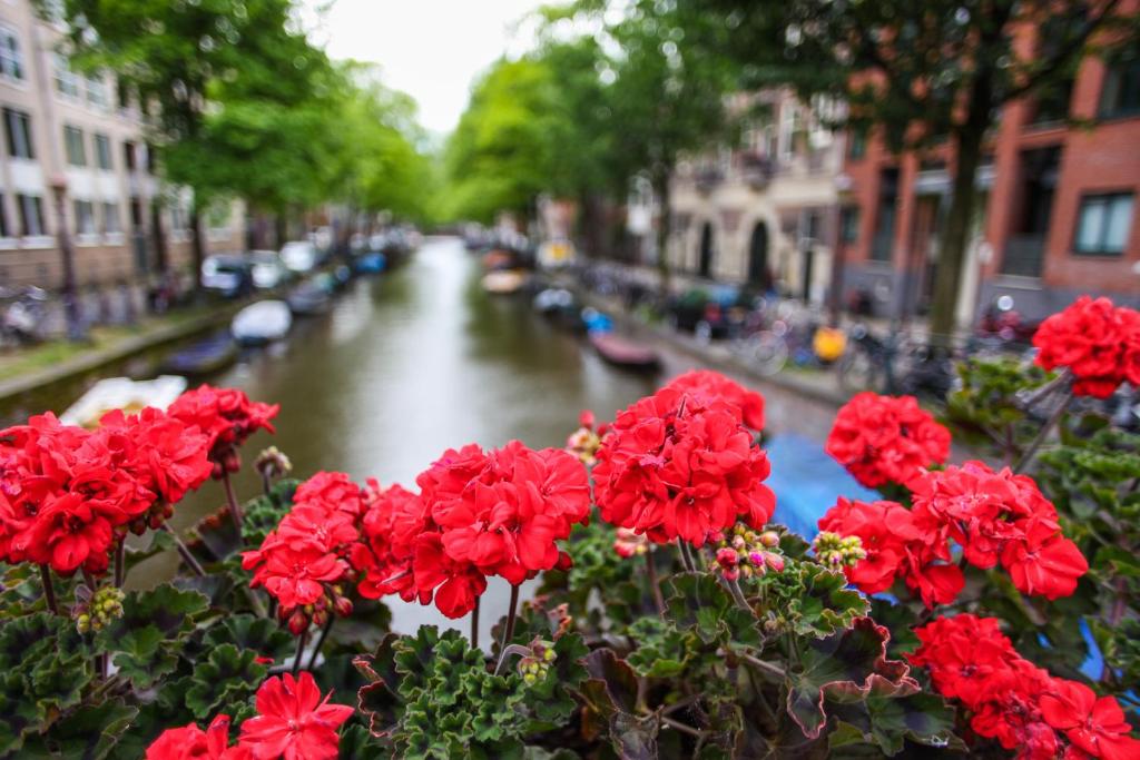 Hotel De Looier - Resim 17