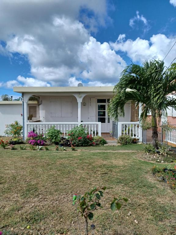 una casa bianca con una palma nel cortile di MAISON DE VACANCES KAZ A LOLO a Port-Louis
