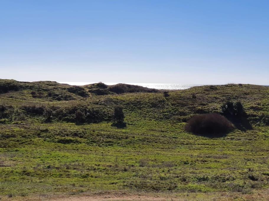 T2 face dunes et ocean - Proche Golf et Thalassothérapie - Appartement Met één Slaapkamer