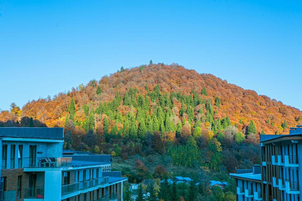 Borjomi – Photos 1