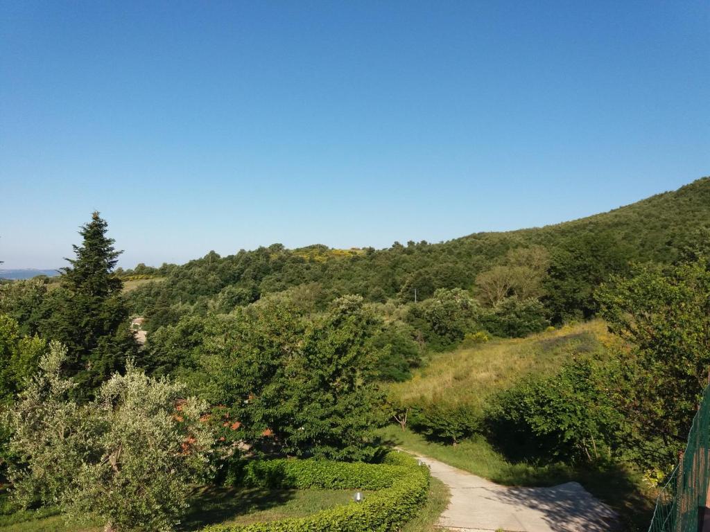 Příroda nedaleko apartmánu