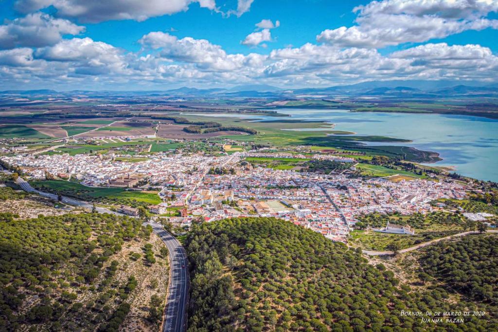 an aerial view of a city next to a body of water at La casa de John Wine , Bornos (Spain) in Bornos
