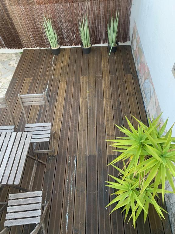 zwei Stühle und Topfpflanzen auf einer Terrasse in der Unterkunft Cozy Green Apartment in Sintra