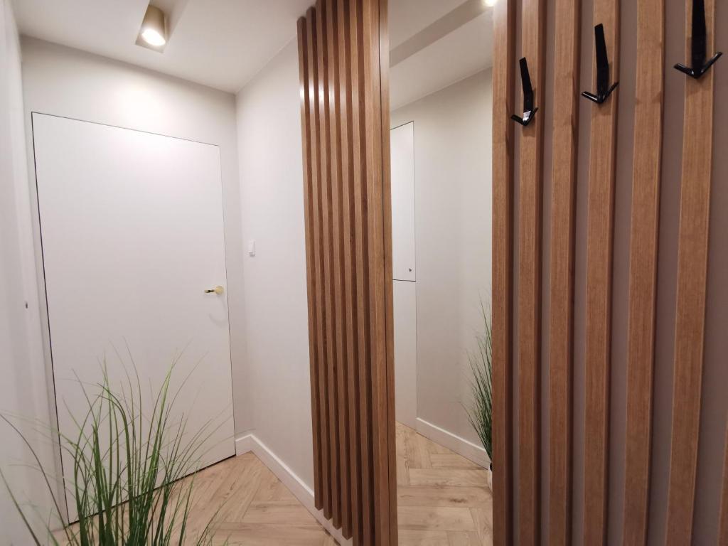 Apartamenty Kielce- APARTAMENT RUBIN przy zalew kielecki, faktura, parking, centrum - 一居室公寓