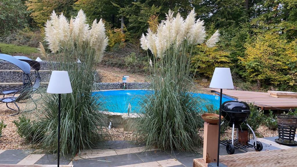 a pool with tall grass next to a table and a grill at Casa Vorwerk in Schüller