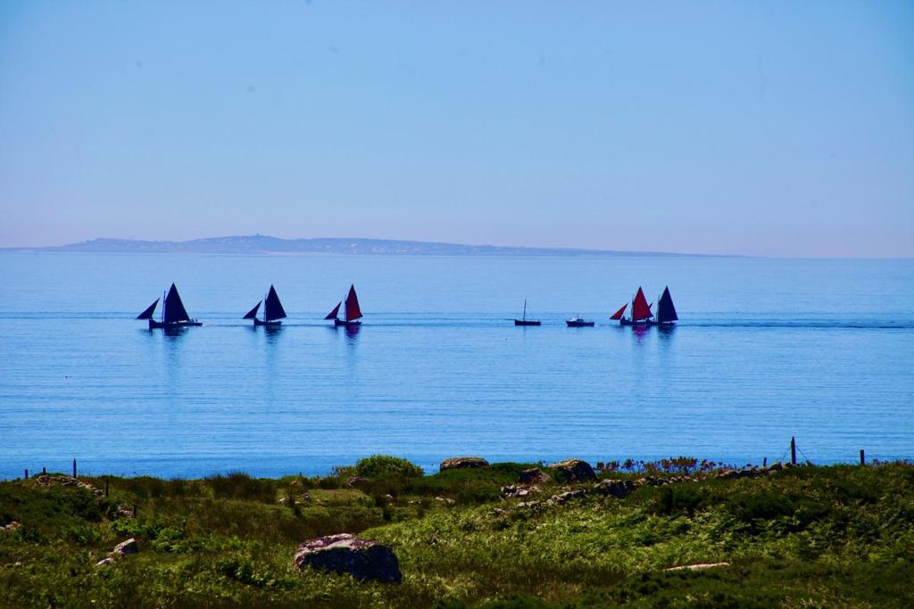 a group of boats on a large body of water at Connemara Farmhouse in Galway