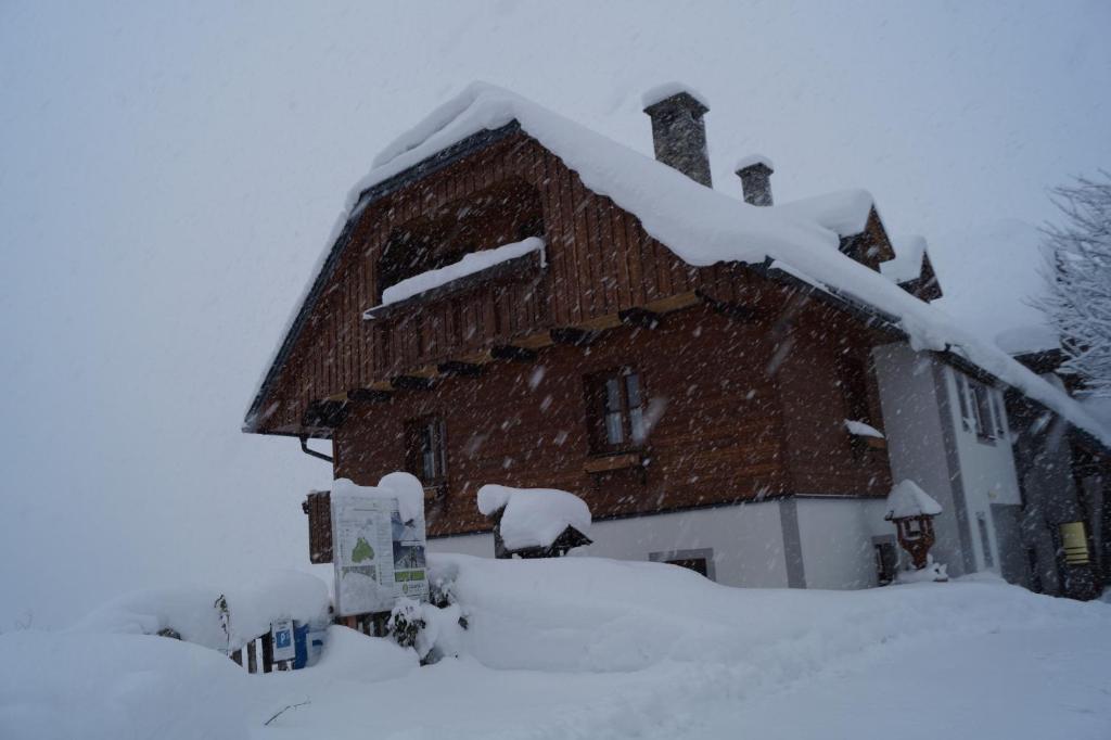Biobauernhof Spieszschweiger during the winter