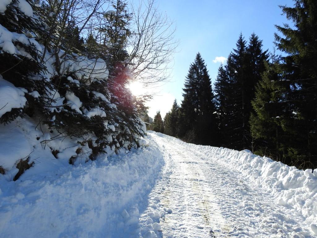Biobauernhof Spieszschweiger during the winter