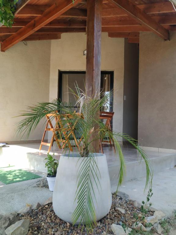 RIO ARRIBA - One-Bedroom Apartment