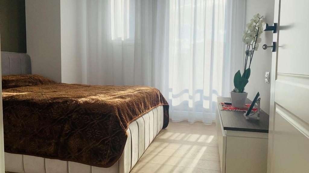 1 dormitorio con cama y ventana en Proper Central Apartment, en Tirana